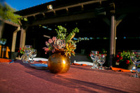 014DecorArabiansIMG_7564