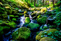 Olympic National Park