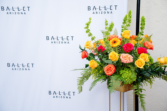 046-Ballet AZ 2025-74207541