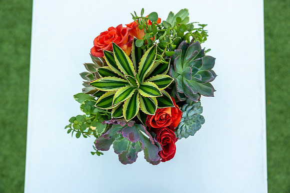 11-Montelucia-decor-Oct22-2482