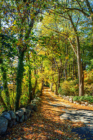 023-FallColors-74200211