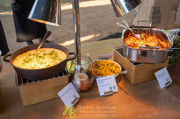 29-www.HarleyBonham.com-7225