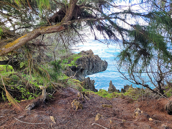 747-TriNet-Kauai-2025-083106