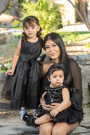 201-Gomez-Dominquez-74205110