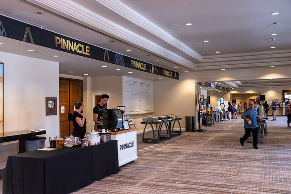 015-Pinnacle-7107309