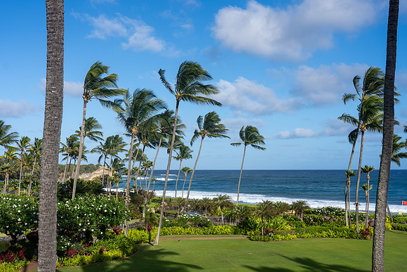 1013-TriNet-Kauai-2025-102104