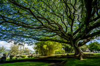 Japanese Friendship Garden, Hilo