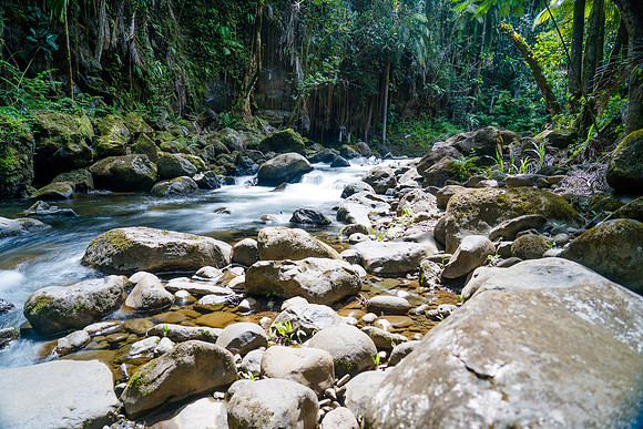 Hilo