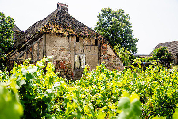 Beaune