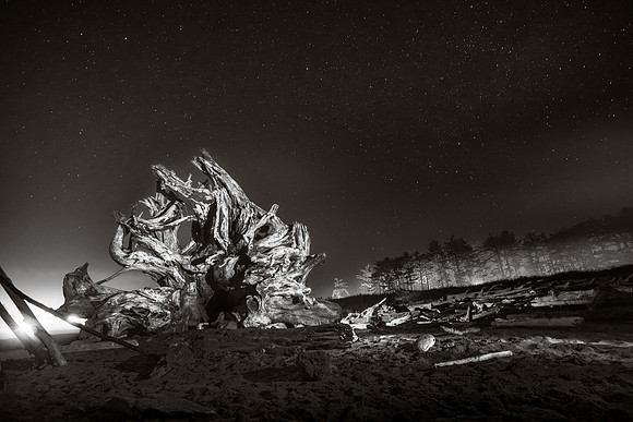 Driftwood, painting with light, La Push, WA