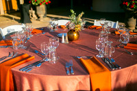 007DecorArabiansIMG_7547