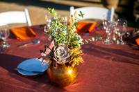 011DecorArabiansIMG_7558