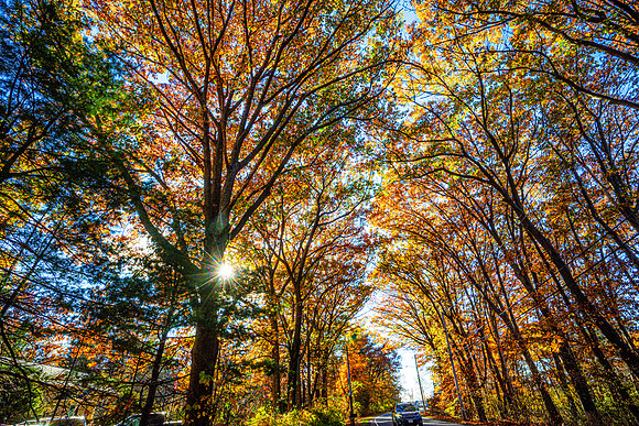 035-FallColors-74200242