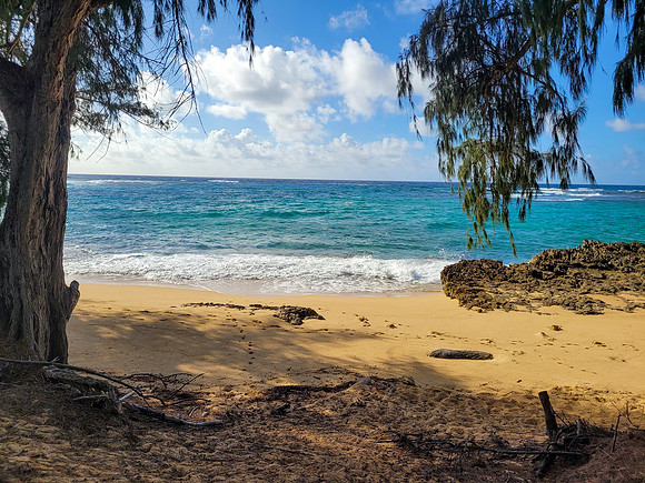 743-TriNet-Kauai-2025-082136
