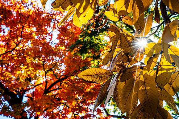 010-FallColors-74208049