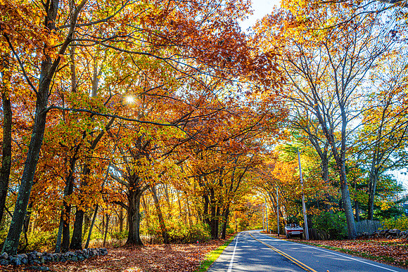 039-FallColors-74200249