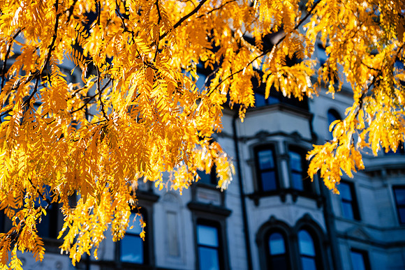 002-FallColors-74207998