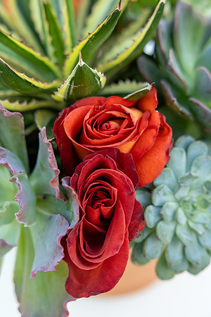 9-Montelucia-decor-Oct22-2480