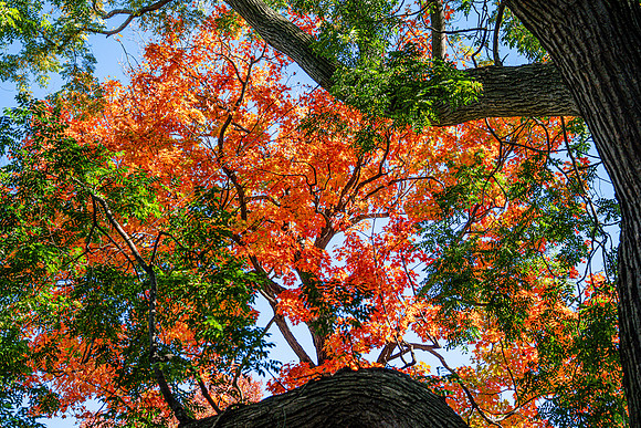 011-FallColors-74208071