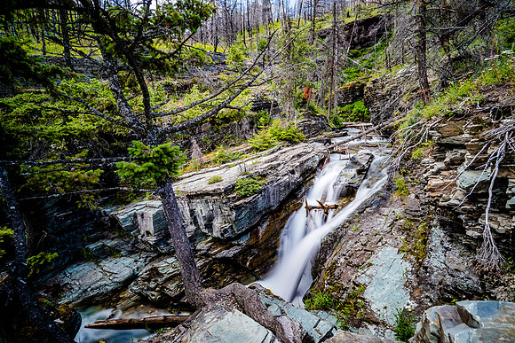 Glacier National Park-7307806