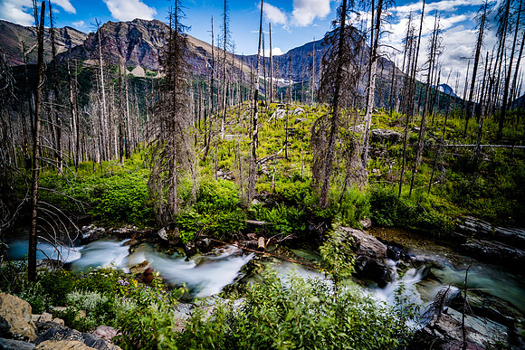 Glacier National Park-7307816
