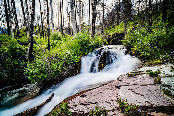 Glacier National Park-7307818