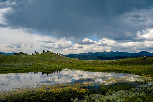 Yellowstone--2
