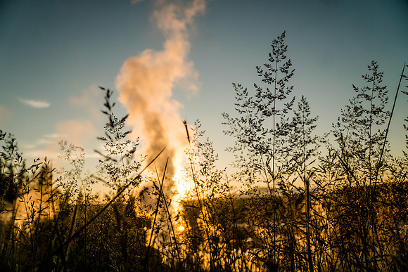 Yellowstone-6308832