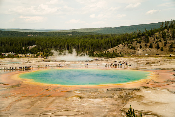 Yellowstone-6308932