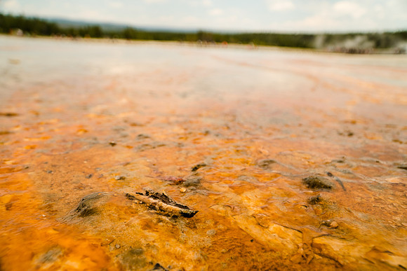 Yellowstone-6308948