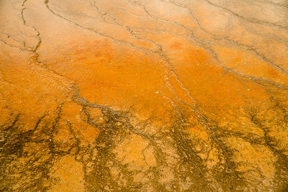 Yellowstone-6308964