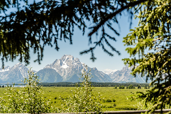 Grand Teton-7307324