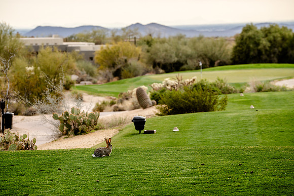 656-Boulders North-74100309