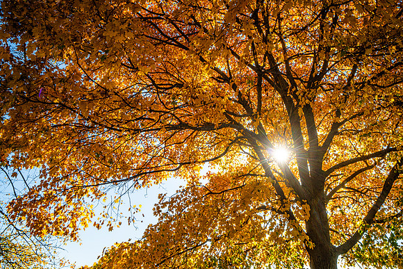 048-FallColors-74200282