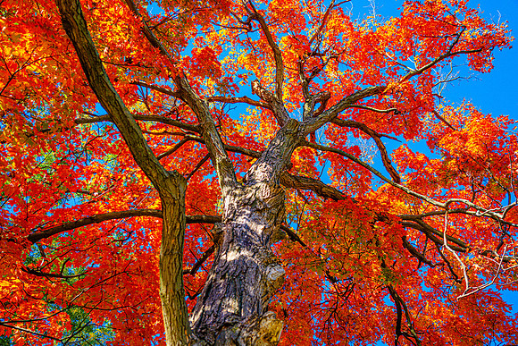 006-FallColors-74208035