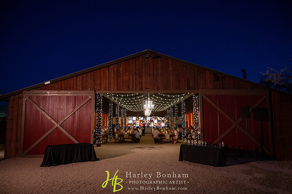 84-www.harleybonham.com-3286
