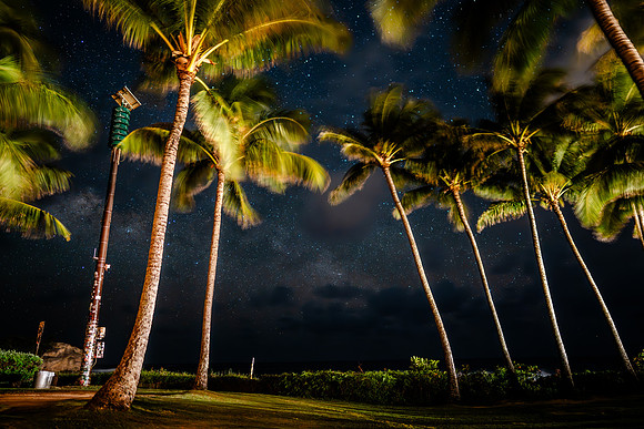 990-TriNet-Kauai-2025-