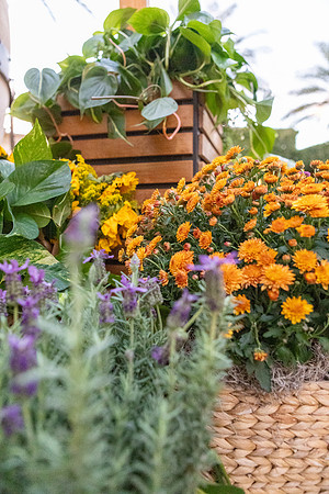 15-SWCP-Montelucia-decor-Oct24-0060