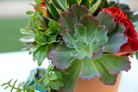7-Montelucia-decor-Oct22-2478