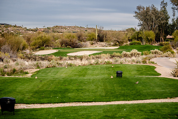 691-Boulders North-74100342