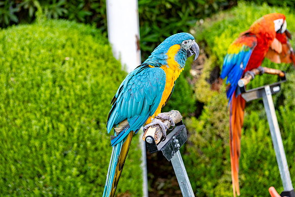 5-Decor-May20-0194