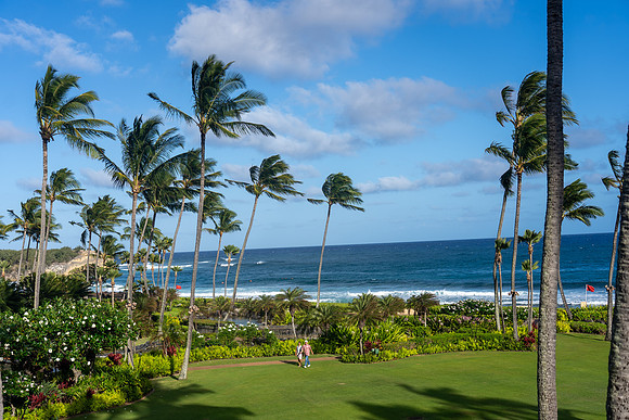 1011-TriNet-Kauai-2025-102102