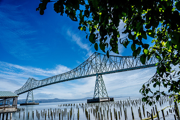 020-Oregon-74202994