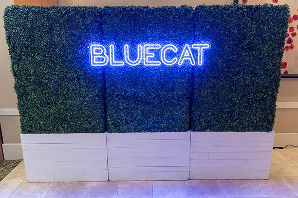 10-BlueCat-03488