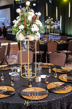 002-MPI Gala 2024-74108054