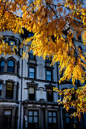 001-FallColors-74207996