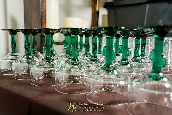 019-HarleyBonham.com-74206143
