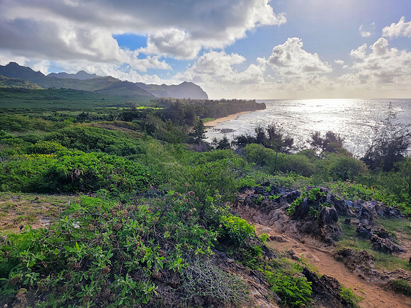 739-TriNet-Kauai-2025-074926
