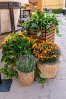 14-SWCP-Montelucia-decor-Oct24-0059