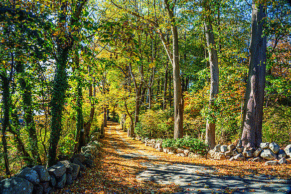 026-FallColors-74200216